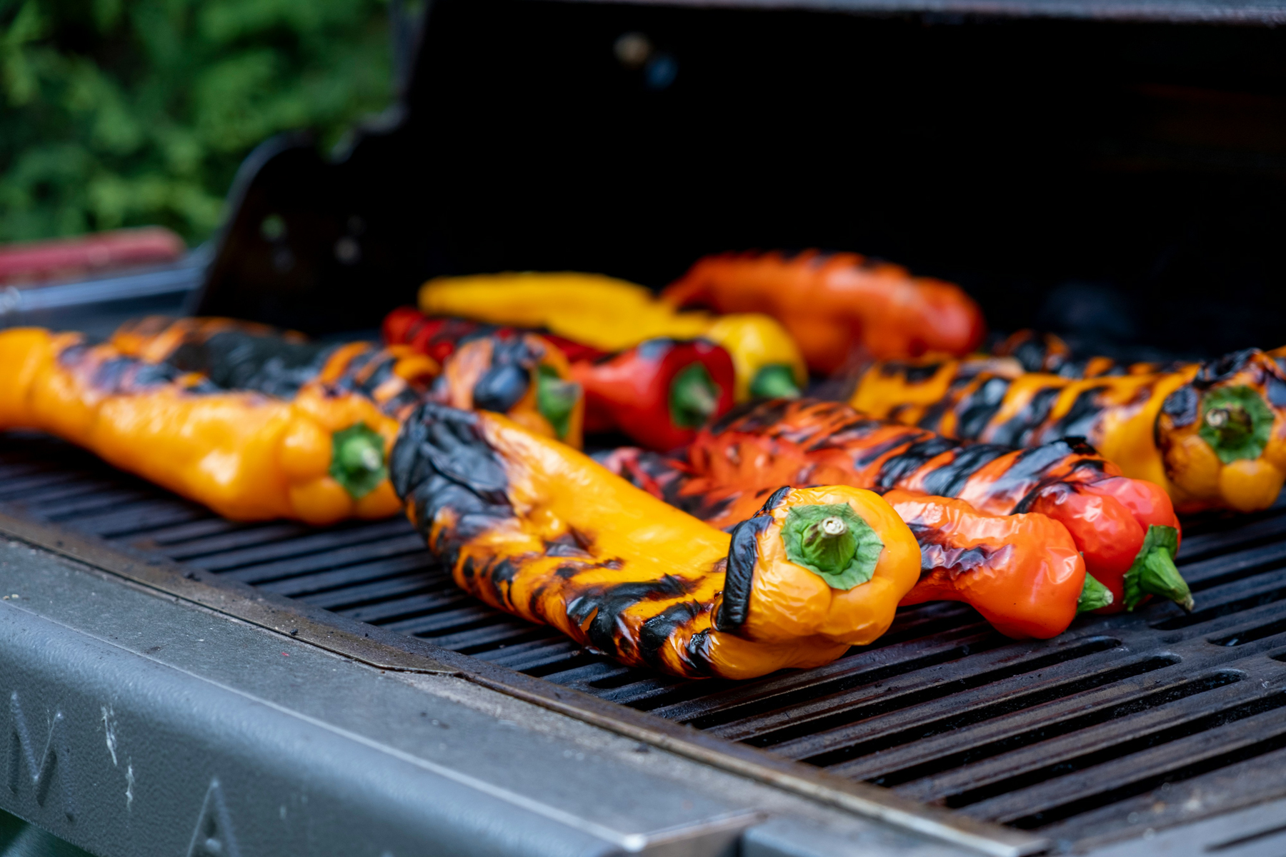 Grillrost wird direkt nach dem Grillen gereinigt