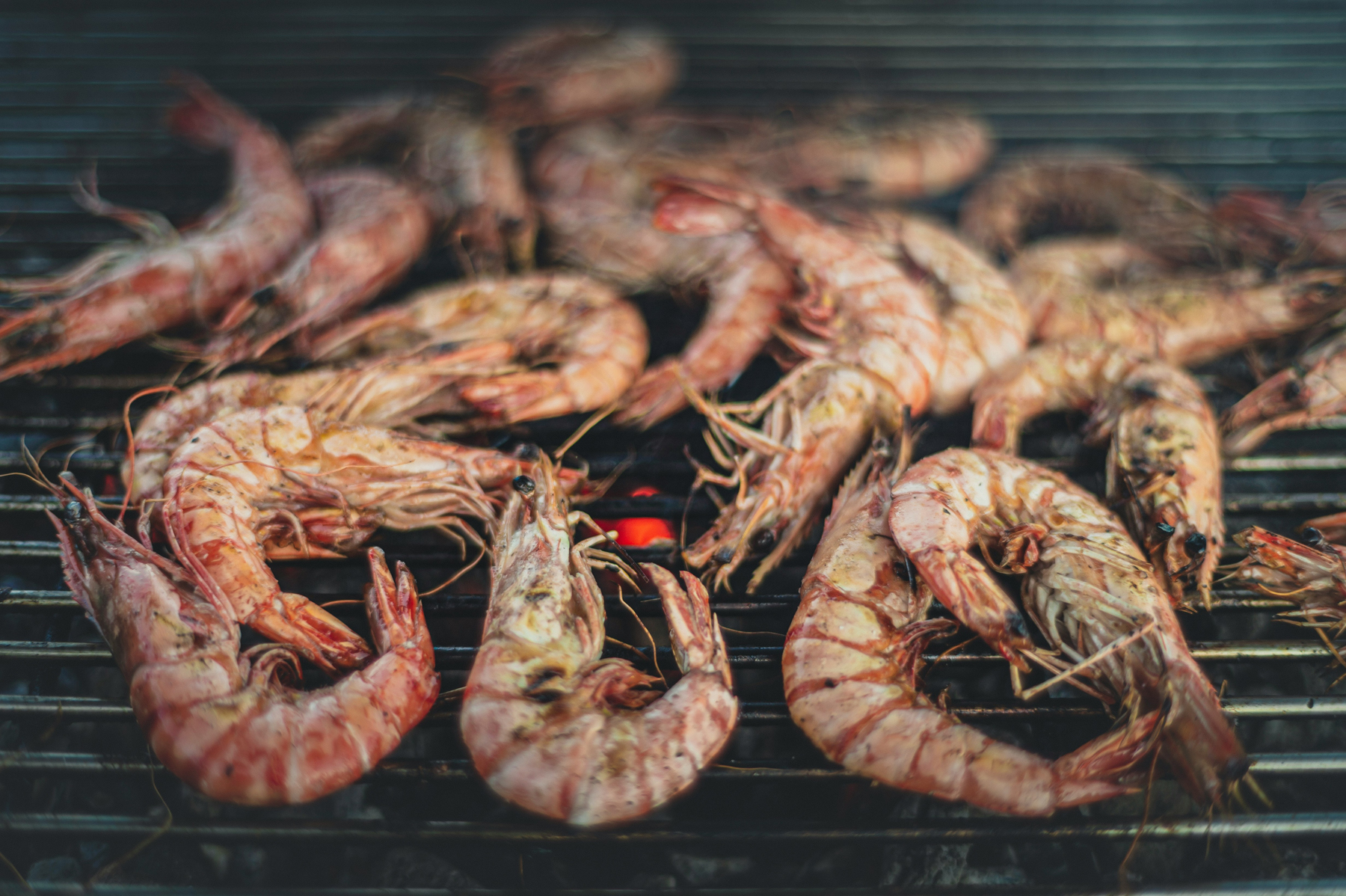 Fisch wird auf einem Grillrost im Freien gegrillt